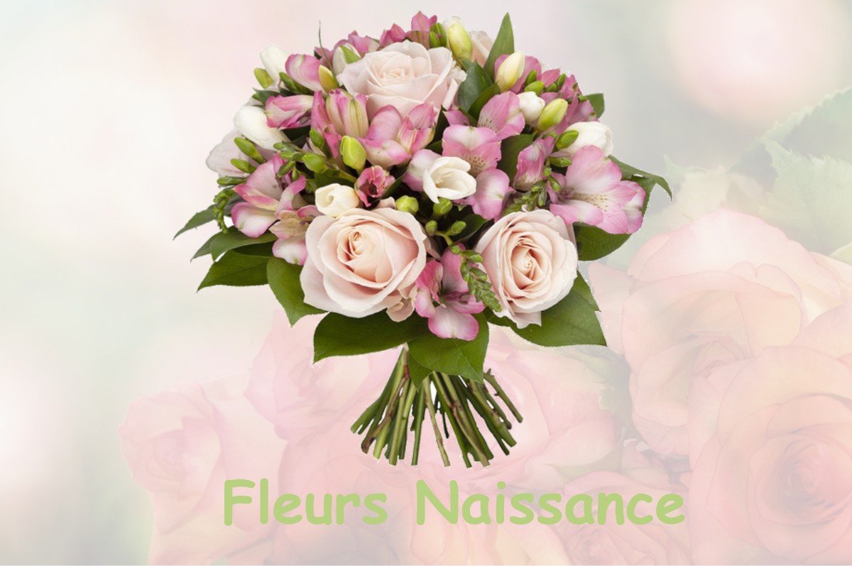 fleurs naissance FOUCAUCOURT-SUR-THABAS