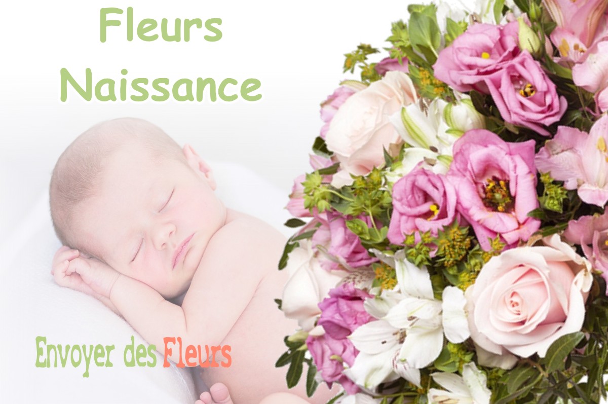 lIVRAISON FLEURS NAISSANCE à FOUCAUCOURT-SUR-THABAS